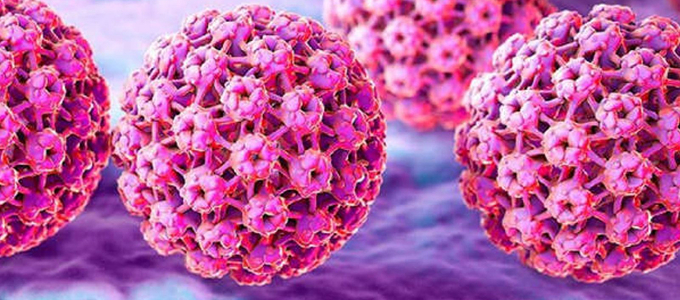 Virus de Papiloma Humano